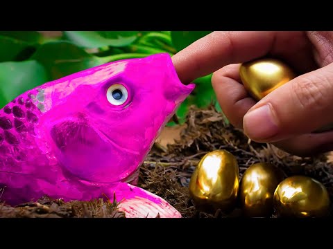 Stop Motion In Mud Survival - Koi fish lay golden eggs - Colorful Koi Fish - Primitive Cooking  CoCo