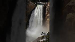 Lower Falls Yellowstone