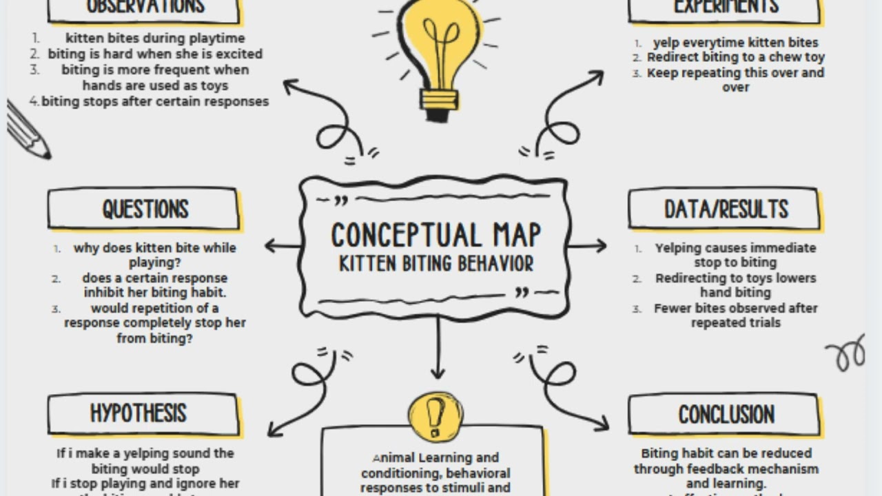 Concept Map Based on Scientific method