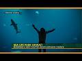 Sea Life Park Hawaiʻi Blends Tradition and Marine Science