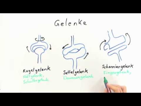 Osteochondrose dugootroschatyh Gelenke Schmerzende Gelenke Symptome Beinen