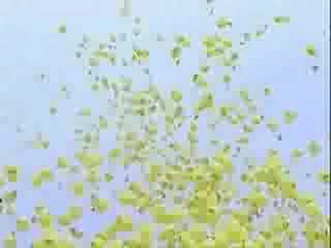 Big Brother Betty Belgie 10