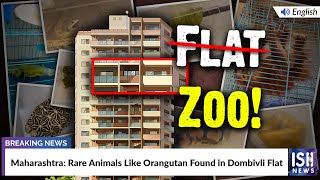Maharashtra: Rare Animals Like Orangutan Found in Dombivli Flat