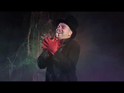 Play Video Youtube Video