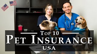 Best Pet Insurance in USA [Detail Reviews] | Top 10 US Pet Insurance Companies, Cost & Covers