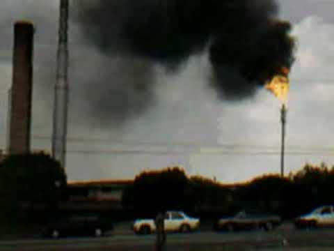 Evolução ou Involução