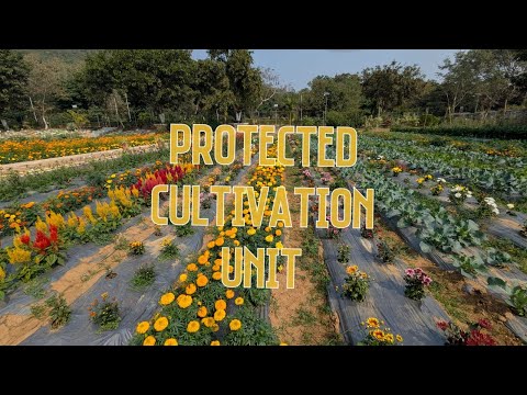 Smart Agriculture Video 1