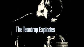 The Teardrop Explodes - Reward