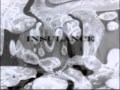 Alex Meshkov - Insulance 