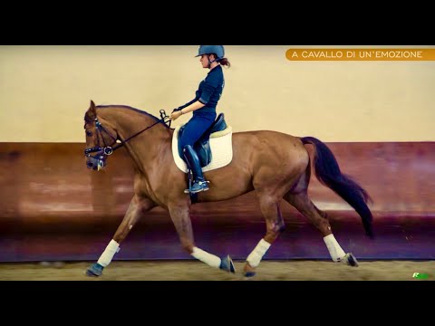 Vincere – A cavallo di un’emozione