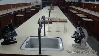 Tagore Public School Video