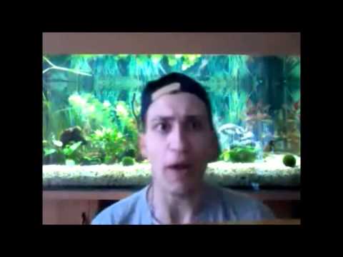 Shadran - AquaPortal - Beatbox März 2013