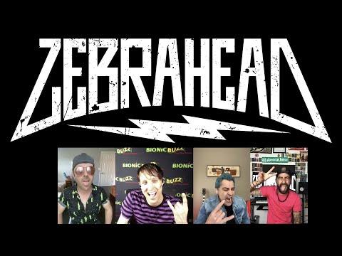 Ali Tabatabaee & Adrian Estrella Discuss the Future of zebrahead
