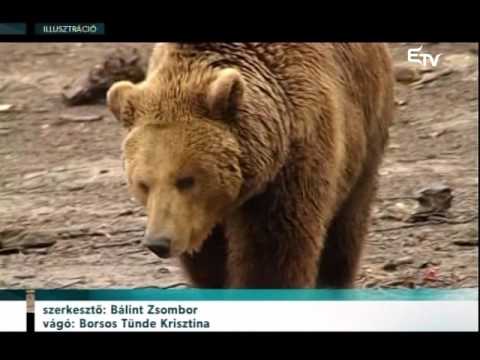 Híradó 2016. július 8. – Erdélyi Magyar Televízió