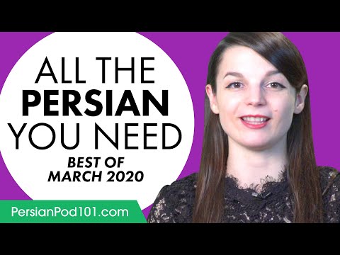 Your Monthly Dose of Persian - Best of March 2020 [fixed]