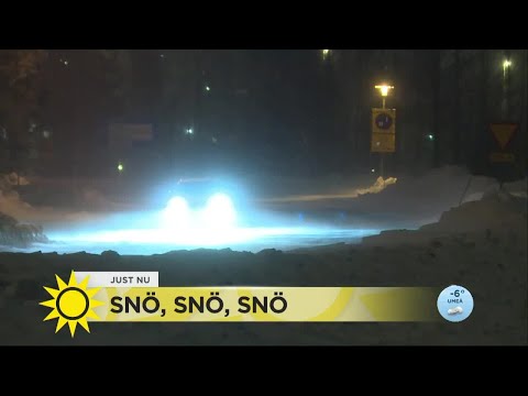 Snö, snö, snö – så slog det till - Nyhetsmorgon (TV4)