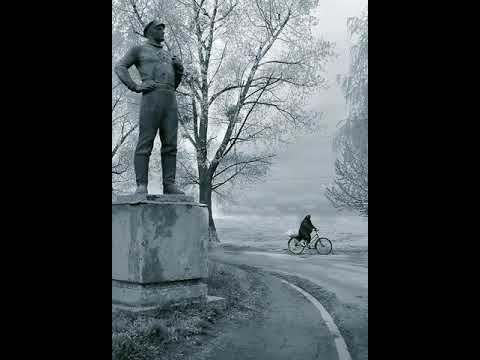 Очеретяний кіт - "Сусід"