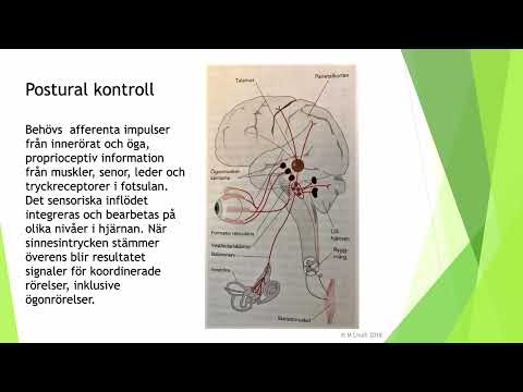 Kaos i Hjärnan. Fråga doktorerna del 10