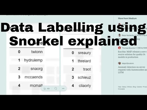 Data Labeling Using Snorkel Using Python