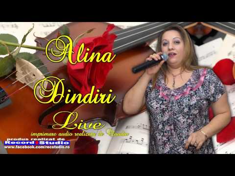 Alina si Costica Dindiri - Stau in loc si ma gandesc LIVE AUDIO Claudiu Record Studio