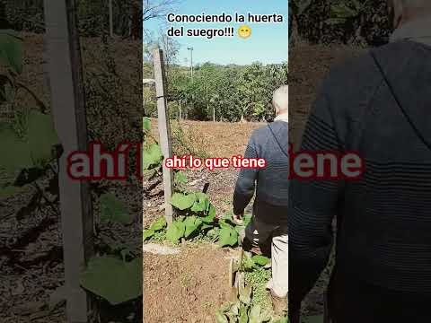NO COMPRAMOS MÁS VERDURA: La Huerta de mi Suegro en Misiones!! 😍 #suscribe
