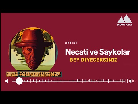 Necati ve Saykolar Bey Diyeceksiniz