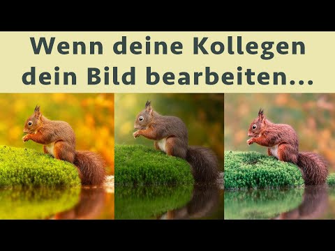 6 Fotografen bearbeiten mein Bild - erstaunliche Ergebnisse!