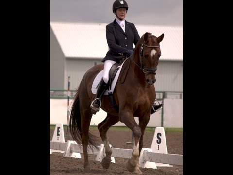 Sumervale Premier Dressage presents, Damiro