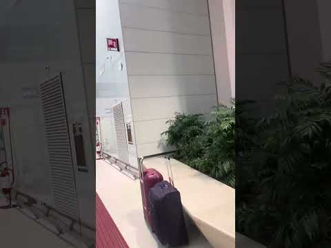 Aeroporto Marco Pólo