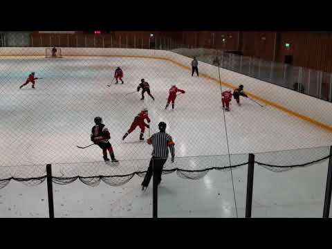 TeamSportiaCup Match #2, 2019-03-30, Hammarö HC Röd - Täby HC (4-7)