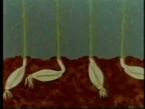 Deutsches Bier - Werbespot 2