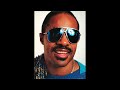 With a Child's Heart – Stevie Wonder
