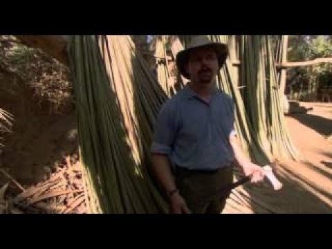 Tutmosis İ, el faraón guerrero