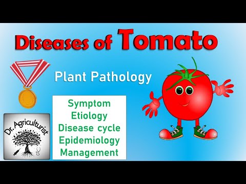 , title : 'L 26-1 | Diseases of Tomato | टमाटर की बीमारियां और प्रबंधन | अगेती और पिछेती अंगमारी