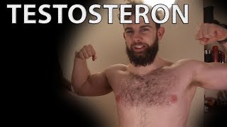 TESTOSTERON - za co odpowiada i jak naturalnie zwiększyć jego poziom