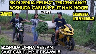 Download lagu YOUNG BOSS LOOKS FOR GRASS RIDING A NINJA ZX FOR HIS EX AND HIS ARROGANT NEW GIRLFRIEND TO BE STU... mp3 Download lagu YOUNG BOSS LOOKS FOR GRASS RIDING A NINJA ZX FOR HIS EX AND HIS ARROGANT NEW GIRLFRIEND TO BE STU... mp3