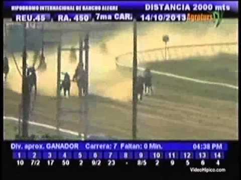 Resumen Lunes, 14 de Octubre 2013 - Rancho Alegre