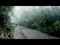 4K Walking In The Todoroki Valley In The Rain Tokyo Japan