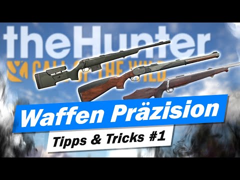 the Hunter Call of the Wild - Tipps für Waffen | Die Präzision (deutsch)