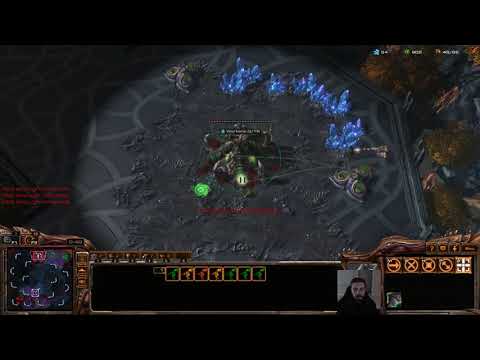 NewBreed vs Ayyolamayo ZvT on Cerulean Fall LE 2018-10-20