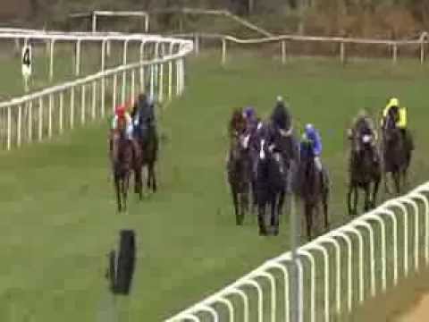 Galopprennbahn Dresden - 22.11.2013 - 5.Rennen