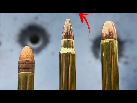 22LR vs 17 HMR vs 22 MAG: Never Would’ve Guessed