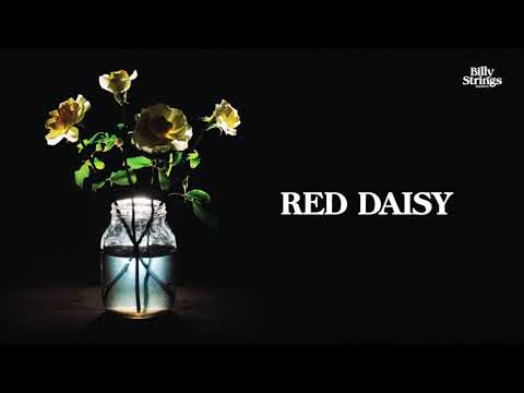 Billy Strings - Red Daisy (Official Audio)