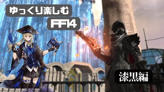 【FF14】漆黒の若葉、アルフィノに会いに行く【ElementalDC】配信用CWLSあり！