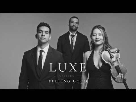 Promotional video thumbnail 1 for Luxe Strings