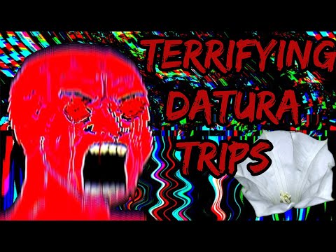 Deranged Datura Trips