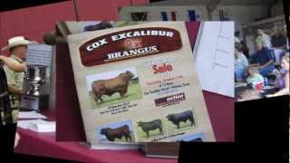 preview picture of video 'Cox Excalibur's Advantage Sale- 2012'
