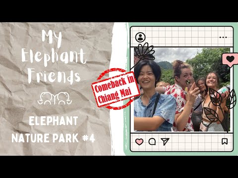 My Elephant Friends [[COMEBACK em Chiang Mai]] - ELEPHANT NATURE PARK EPISÓDIO #4