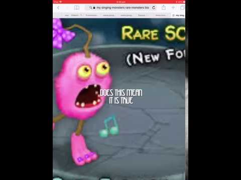 Rare island could actually be here this time