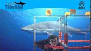 DIA 2 Expo Tiburon212